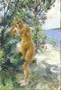 Anders Zorn After the Bath, Germany oil painting artist